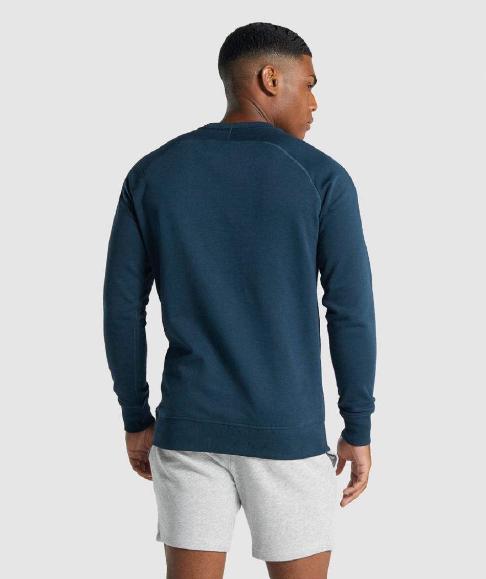 Correr Con Capucha Gymshark Crest Sweatshirt Hombre Azul Marino | CO 3662PJJ